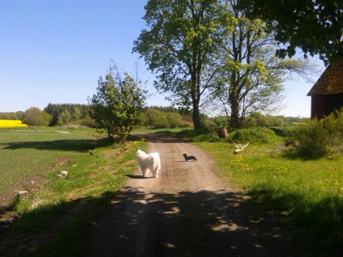 Stora Topphem Skåne-Tranås Esterno foto